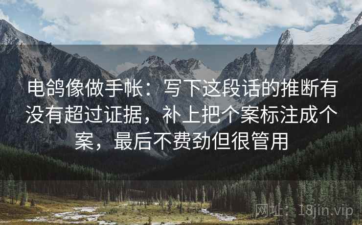 电鸽像做手帐：写下这段话的推断有没有超过证据，补上把个案标注成个案，最后不费劲但很管用